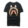 BAPE x Stussy Shark Head Tee T-Shirt