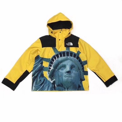 Supreme x TNF Statue of Liberty Hooded Jacket