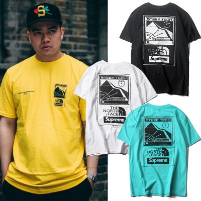 Supreme x The North Face Casual Tee T-shirt